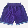 Men's Charlotte Hornets Shorts Purble, Hornets Mens Basketball Shorts Stitched