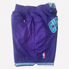 Men's Charlotte Hornets Shorts Purble, Hornets Mens Basketball Shorts Stitched