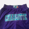 Men's Charlotte Hornets Shorts Purble, Hornets Mens Basketball Shorts Stitched