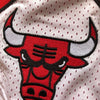 Men's Chicago Bulls Shorts Red White Bulls Mens Basketball Shorts Stitched