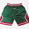 Men's Chicago Bulls Shorts green Bulls Mens Basketball Shorts Stitched
