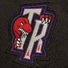 Men's Toronto Raptors Purple, Raptors Mens Basketball Shorts Stitched